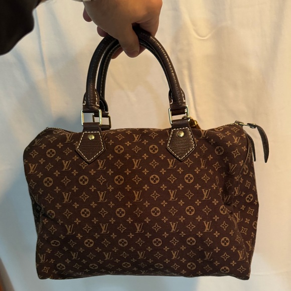 Louis Vuitton Handbags - Louis Vuitton Mini Lin Speedy 30
